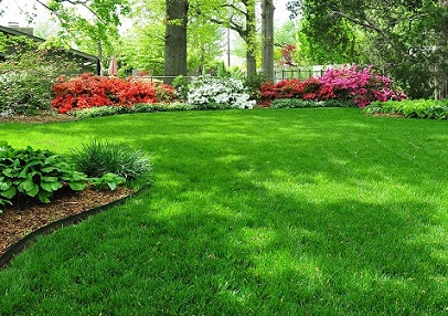 Profesyonel Hafriyat ve Peyzaj Hizmetleri